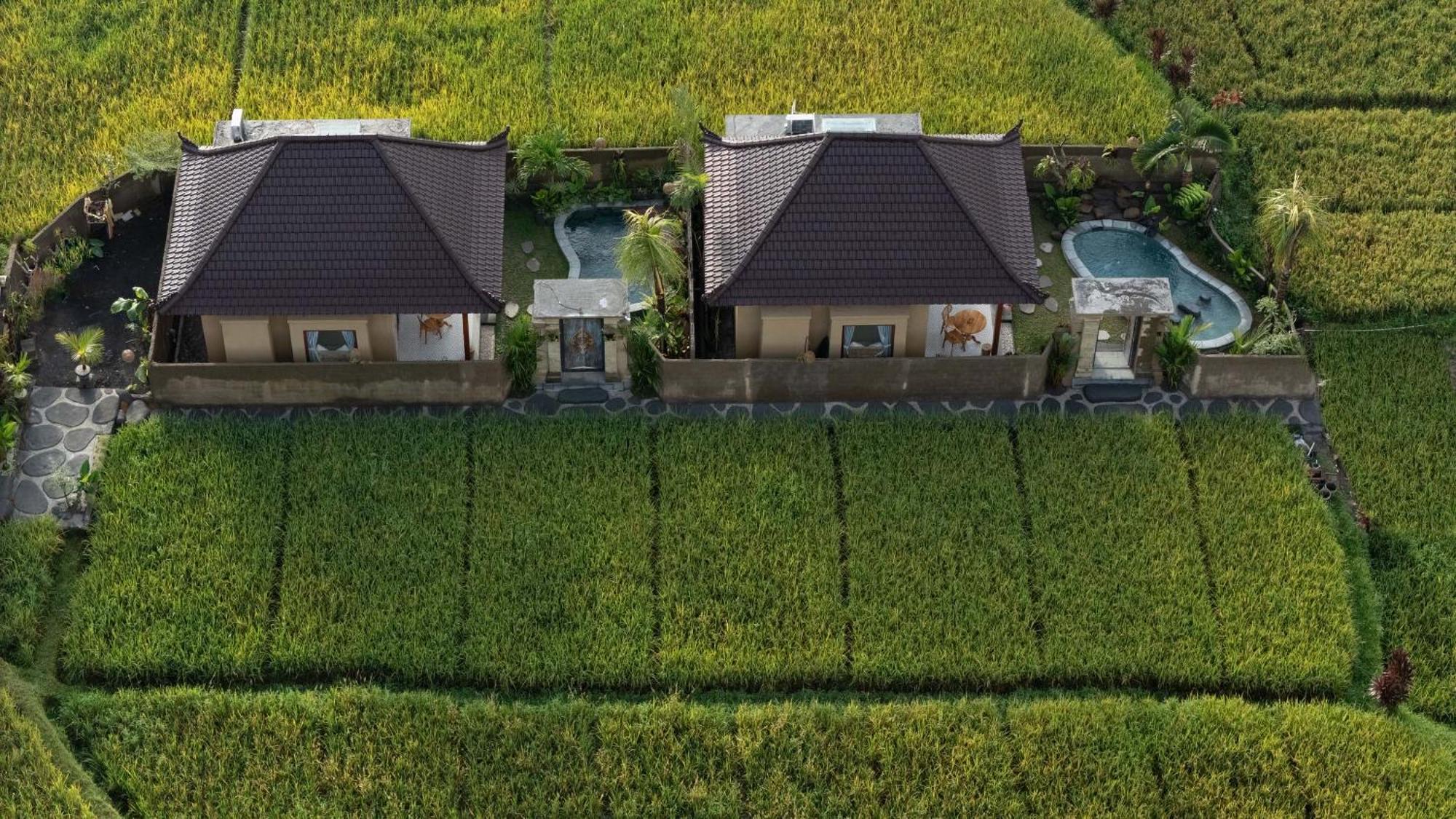 Sawah Sebatu Villa Ubud Eksteriør bilde