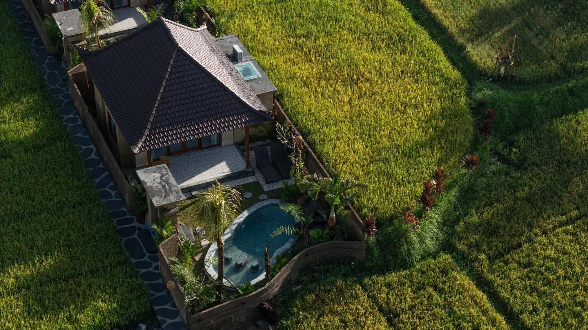 Sawah Sebatu Villa Ubud Eksteriør bilde