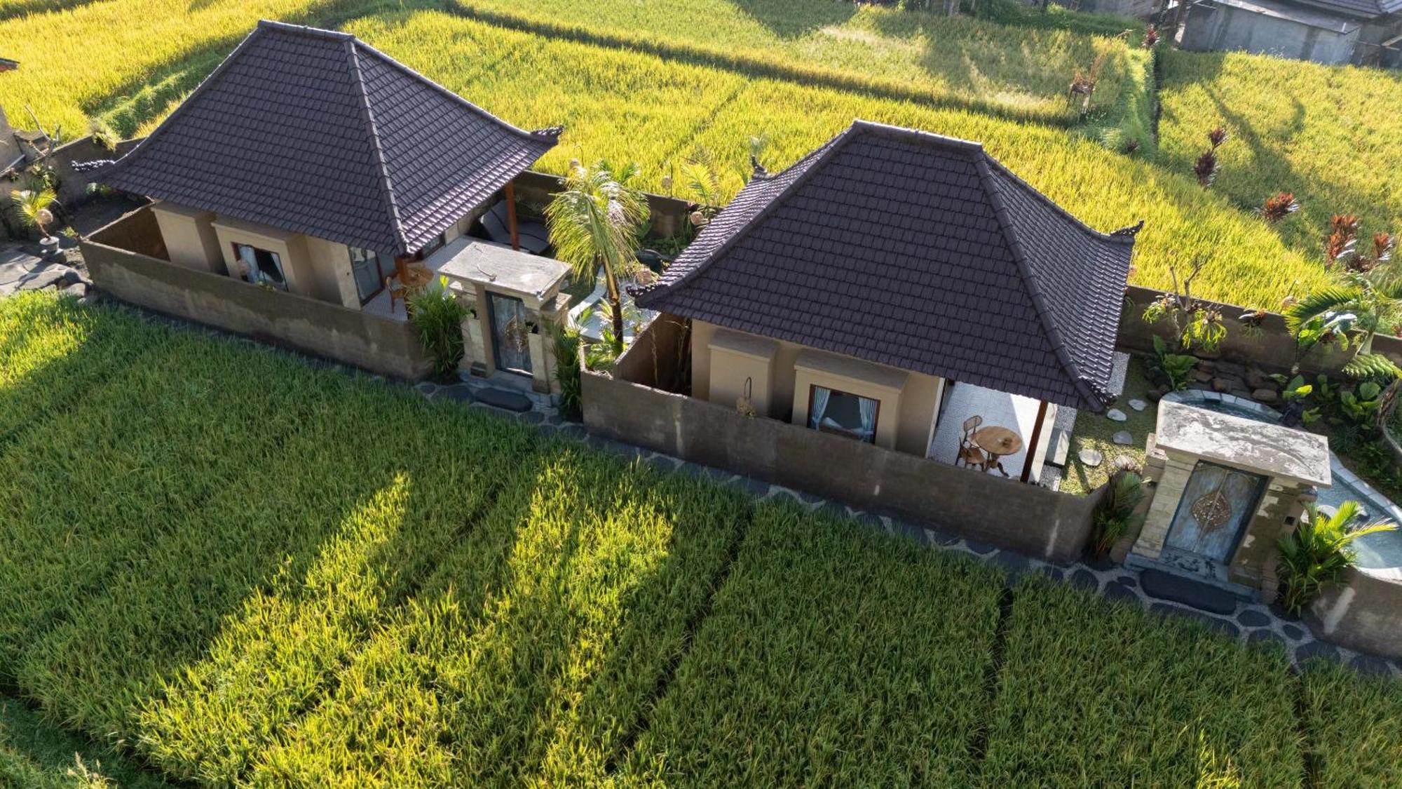 Sawah Sebatu Villa Ubud Eksteriør bilde