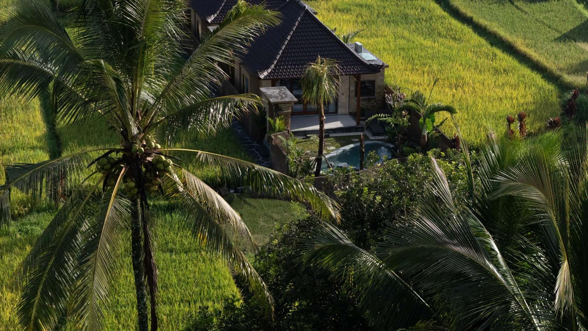 Sawah Sebatu Villa Ubud Eksteriør bilde