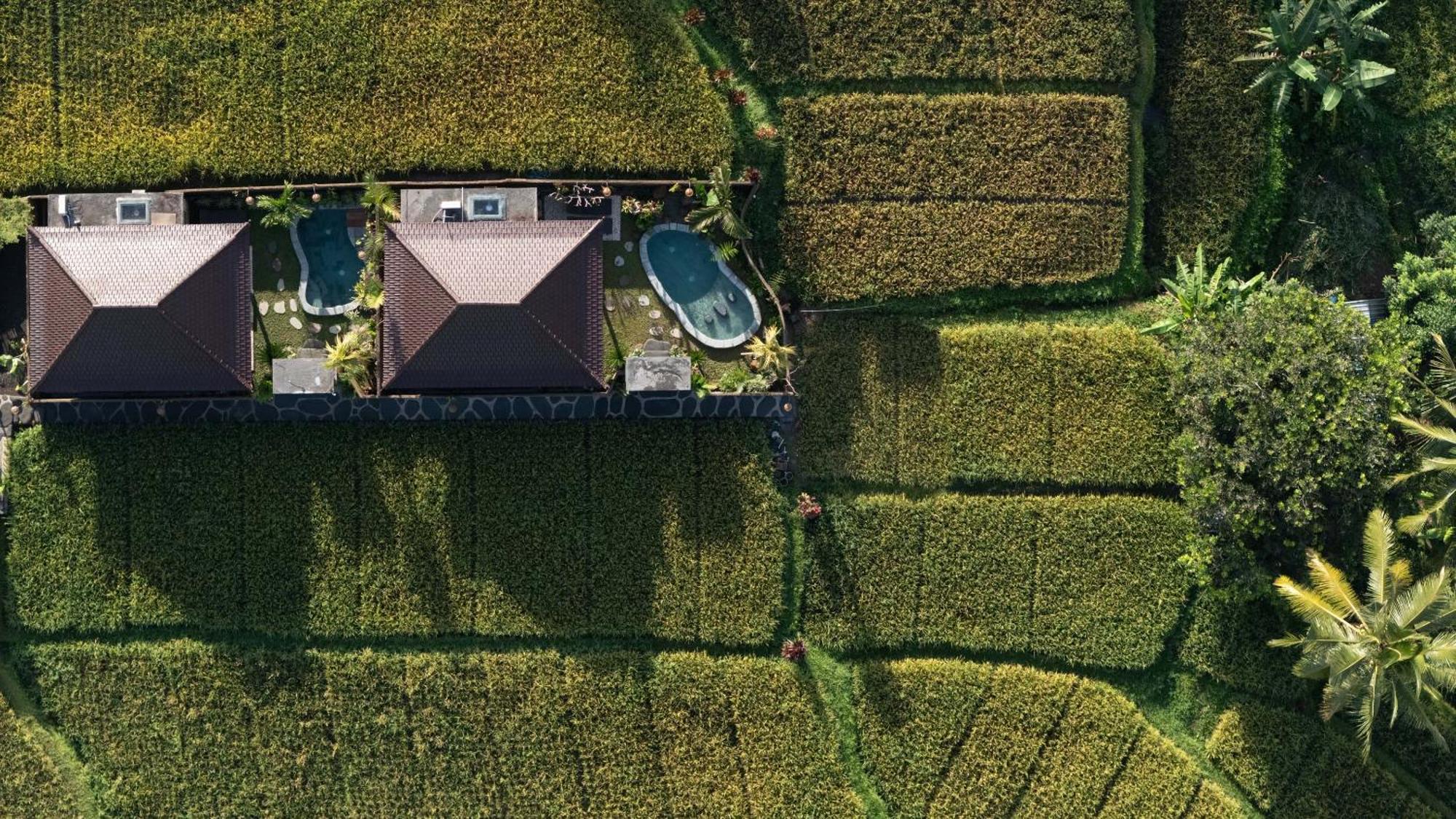 Sawah Sebatu Villa Ubud Eksteriør bilde